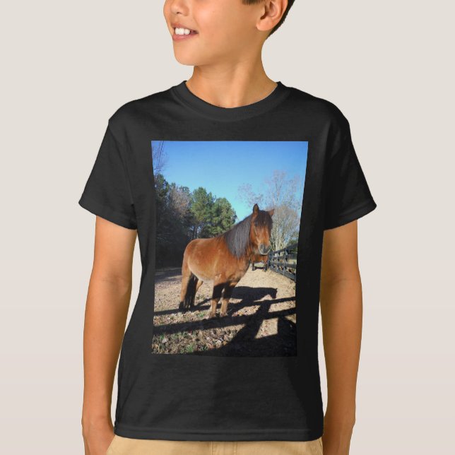 Brun ponny turkos himmel tee (Framsida)