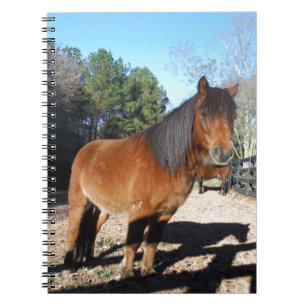 Brun ponyturkos Himlar Anteckningsbok Med Spiral