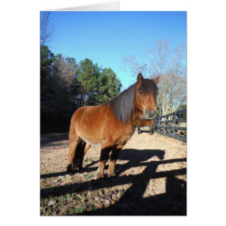 Brun ponyturkos Himlar Hälsningskort