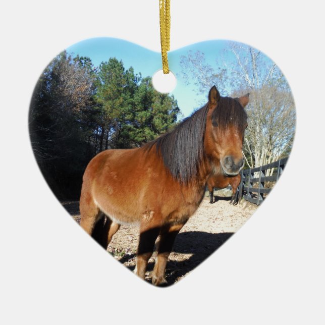 Brun ponyturkos Himlar Julgransprydnad Keramik (Framsidan)