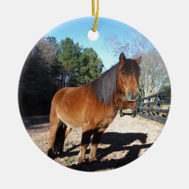 Brun ponyturkos Himlar Julgransprydnad Keramik (Framsidan)