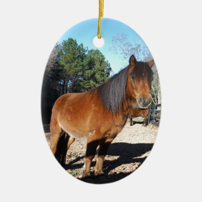 Brun ponyturkos Himlar Julgransprydnad Keramik (Framsidan)