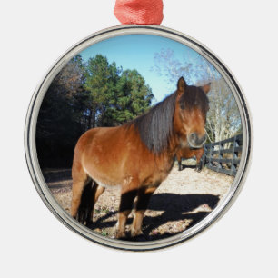 Brun ponyturkos Himlar Julgransprydnad Metall