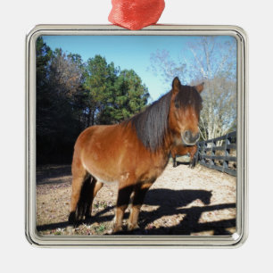 Brun ponyturkos Himlar Julgransprydnad Metall