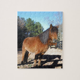 Brun ponyturkos Himlar Pussel