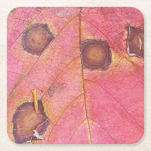 Brun prickad rödblomma Löv Underlägg Papper Kvadrat (Framsidan)