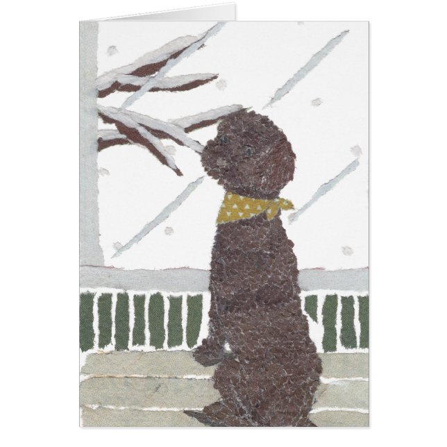 Brun pudel, chokladpudel hälsningskort (Framsidan)