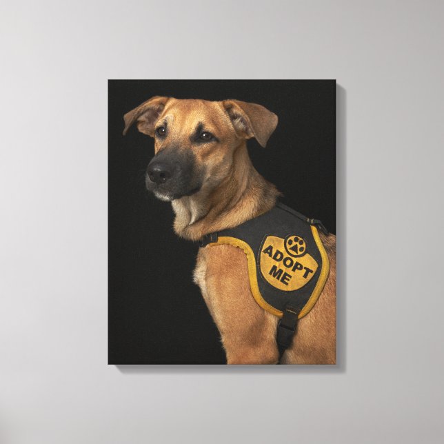 Brun rädding hund med att ta mig väst canvastryck (Framsida)