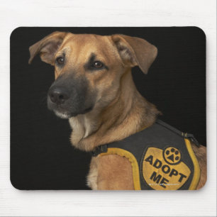 Brun rädding hund med att ta mig väst musmatta