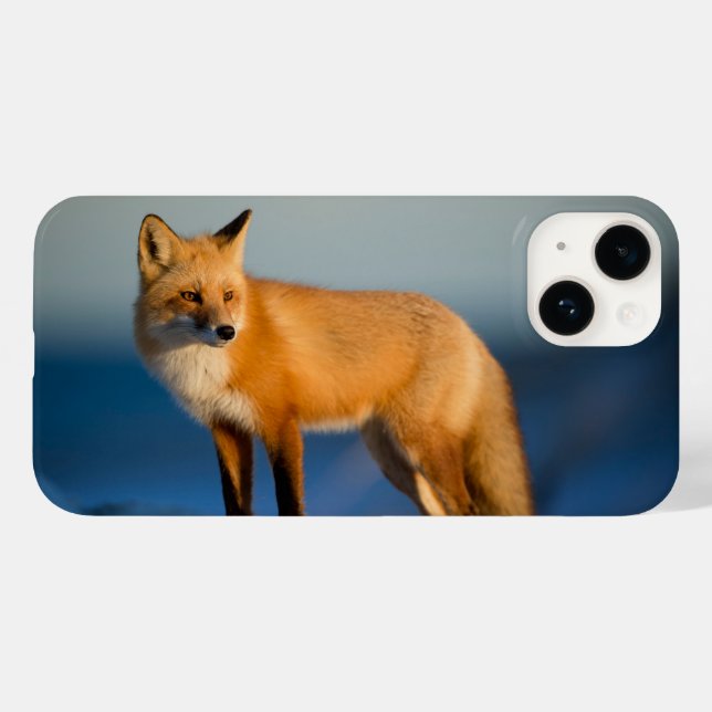 Brun Rävljus iPhone 14 Fodral (Baksida (horisontell))