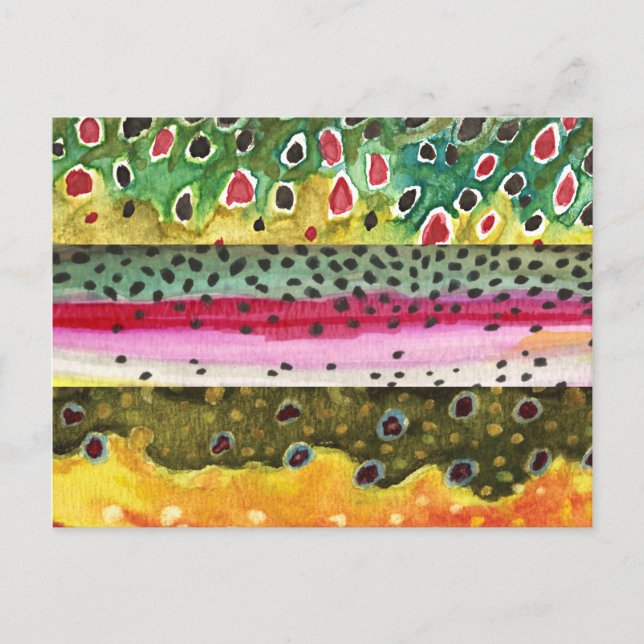 Brun-, regnbåge- och Brook Trout Fishing Vykort (Framsida)