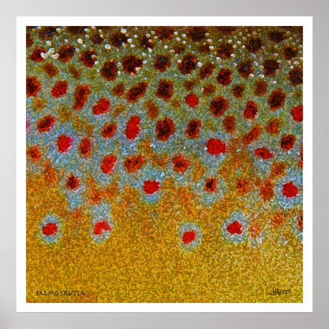 Brun regnbåge Poster (Framsidan)