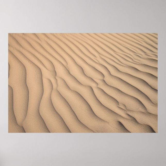 Brun sand poster (Framsidan)