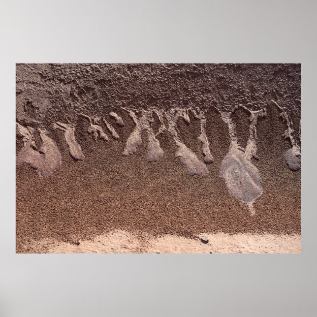 Brun sand poster (Framsidan)