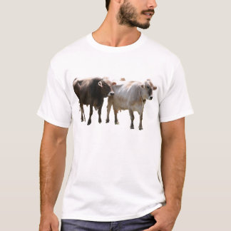 Brun schweizisk T-tröja Tee