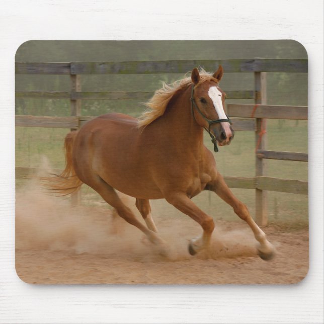 Brun skönhet Mousepad Musmatta (Framsidan)