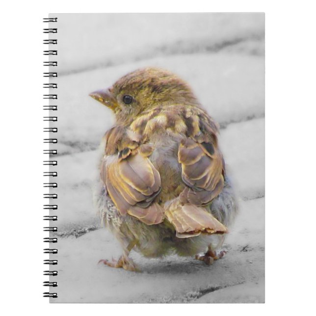 Brun Sparrow Anteckningsbok Med Spiral (Framsidan)