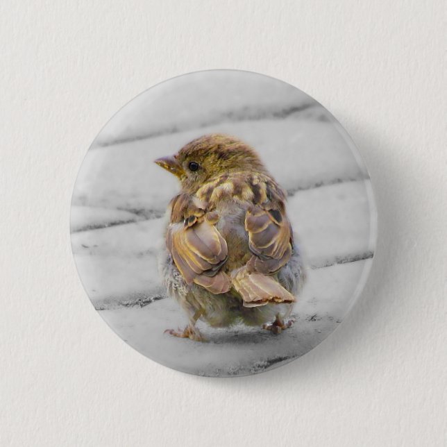 Brun Sparrow Knapp (Framsida)