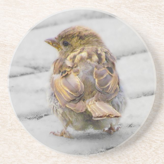 Brun Sparrow Underlägg (Framsidan)