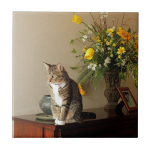 Brun svart tabby kattsitta på pianoblommor kakelplatta