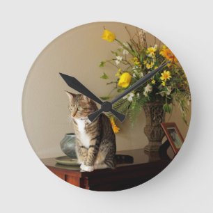 Brun svart tabby kattsitta på pianoblommor rund klocka