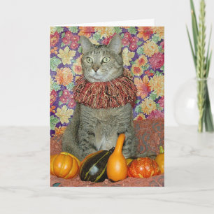 Brun tabby katt-Thanksgiving eller höstkort Kort