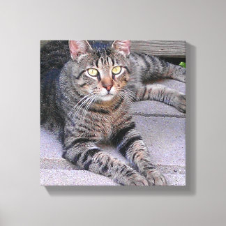 Brun Tabby katt utomhus Canvastryck