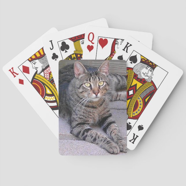 Brun Tabby katt utomhus Casinokort (Baksidan)