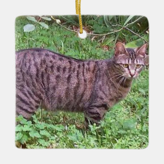 Brun tabby katt utomhus julgransprydnad keramik