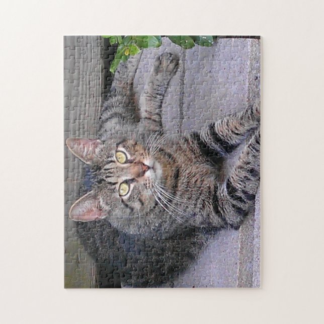 Brun Tabby katt utomhus Pussel (Vertikal)