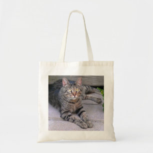 Brun tabby katt utomhus tygkasse