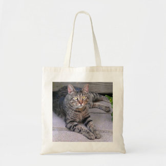 Brun tabby katt utomhus tygkasse
