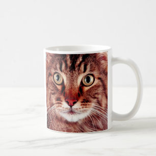 Brun tabby kattmugg kaffemugg