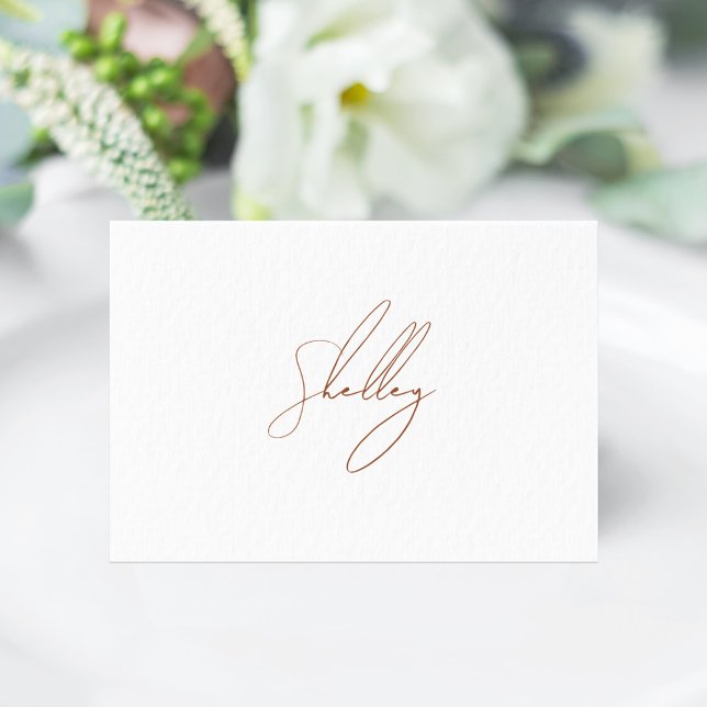 Brun Terracotta Guest Namn Bord-kort (Brown Terracota Individual name Place Card)