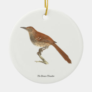 Brun Thrusch eller Brun Thrasher, New York Birds Julgransprydnad Keramik