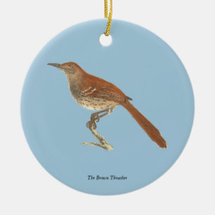 Brun Thrusch eller Brun Thrasher, New York Birds Julgransprydnad Keramik