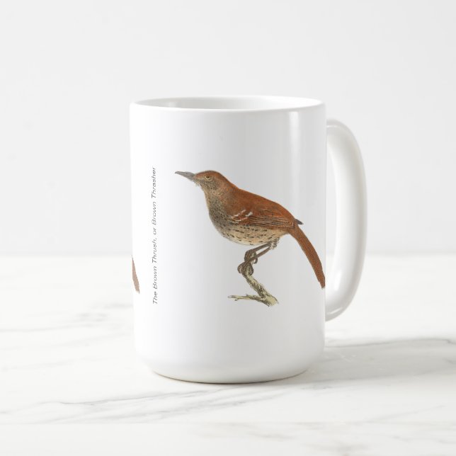 Brun Thrusch eller Brun Thrasher, New York Birds Kaffemugg (Framsida höger)
