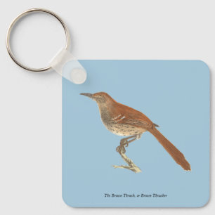 Brun Thrusch eller Brun Thrasher, New York Birds Nyckelring