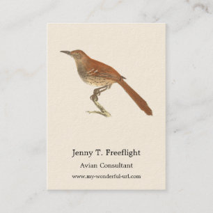 Brun Thrusch eller Brun Thrasher, New York Birds Visitkort