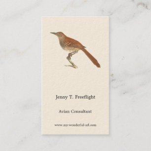 Brun Thrusch eller Brun Thrasher, New York Birds Visitkort