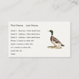 Brun Thrusch eller Brun Thrasher, New York Birds Visitkort