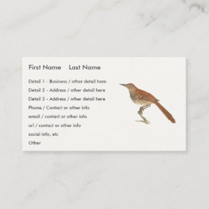 Brun Thrusch eller Brun Thrasher, New York Birds Visitkort