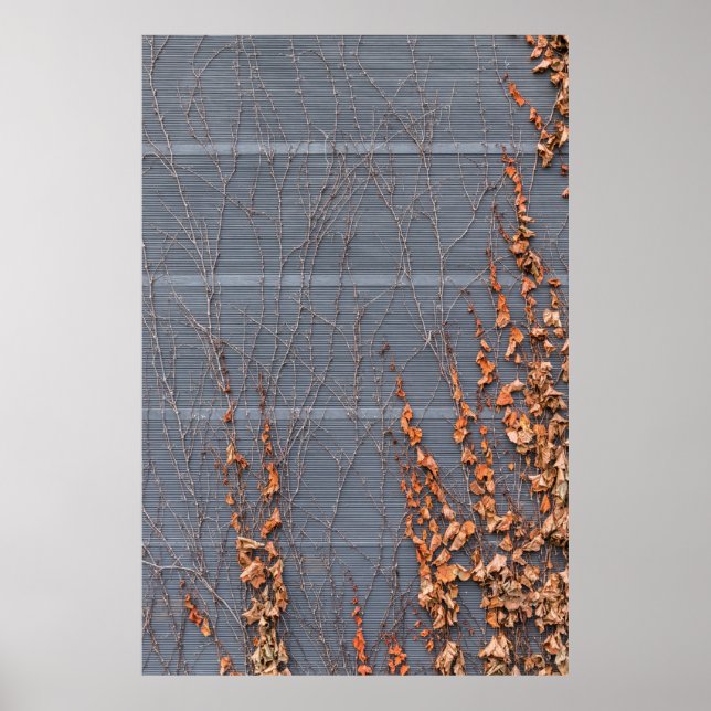 Brun torkad löv på vatten poster (Framsidan)