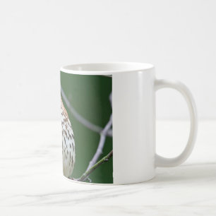 Brun torktumlare med dagskorgskorgen kaffemugg