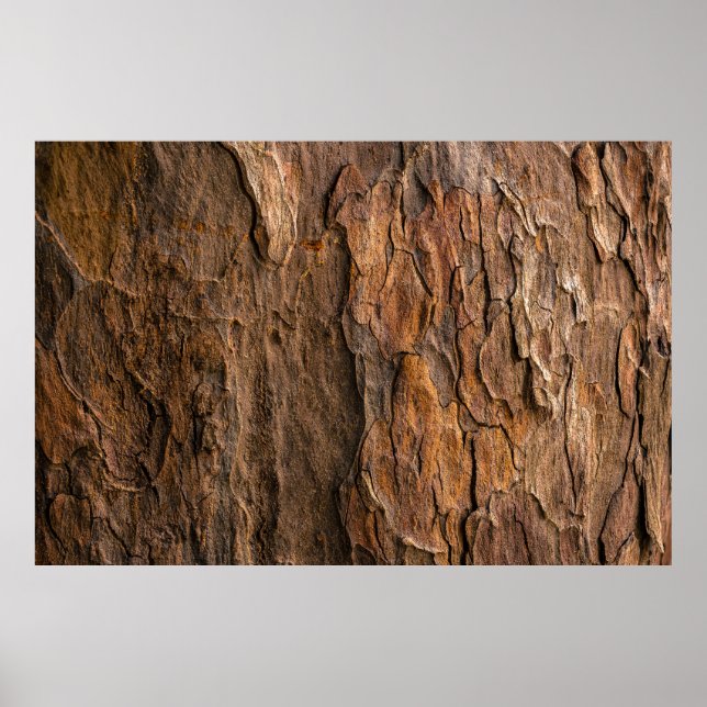 Brun träd bark i förslutningsfotografi poster (Framsidan)