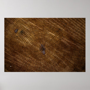 Brun träd-trunk poster