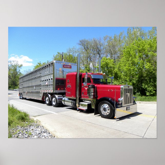 Brun Transport 379 Poster (Framsidan)