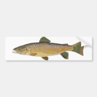Brun Trout. Bildekal
