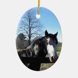 Brun&vit, målad häst, skarp blå himmel julgransprydnad keramik