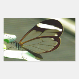 Brun vit och transicent Winged Butterfly Rektangulärt Klistermärke